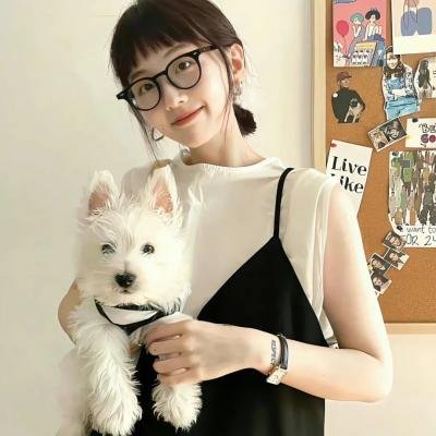 如果历史是一群喵第七季