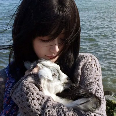 功夫熊猫4